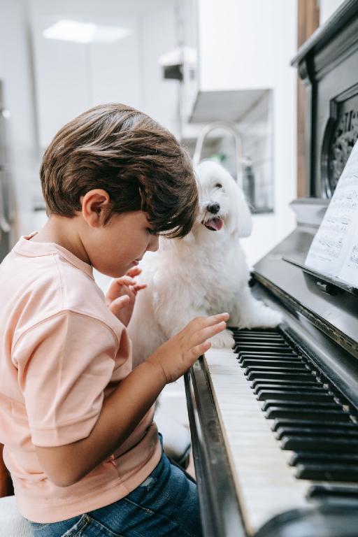 Can Loud Music Hurt Your Dog's Ears?  - Yona Marie | Yona Marie Music