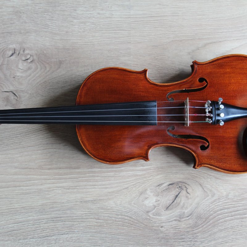 How Many Strings Does A Violin Have? (+ More Facts)
