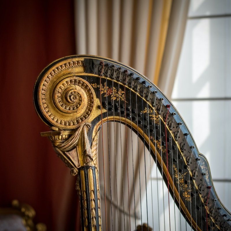 How Many Strings Does A Harp Have? (+ More Facts)
