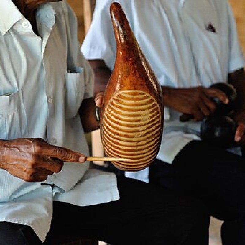 All About The Guiro Musical Instrument