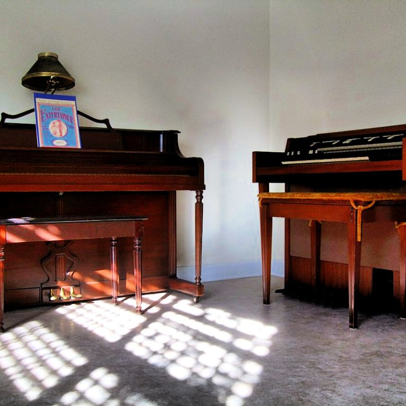 The Piano Vs. The Organ - 7 Key Differences Between Them