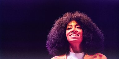 The Emotional Meaning Behind Solange's Cranes In The Sky