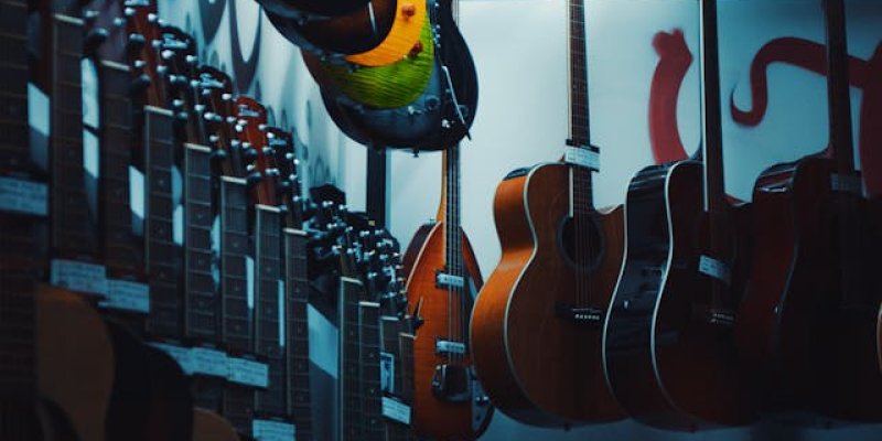 Must-Read Advice For Guitar Collectors 