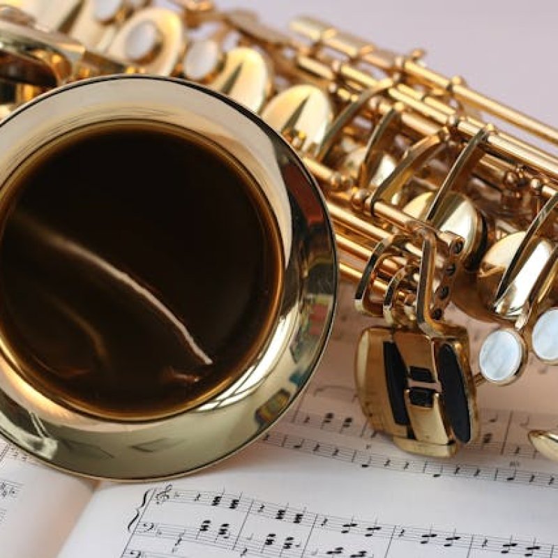 Instruments That Can Use The Vibrato Technique