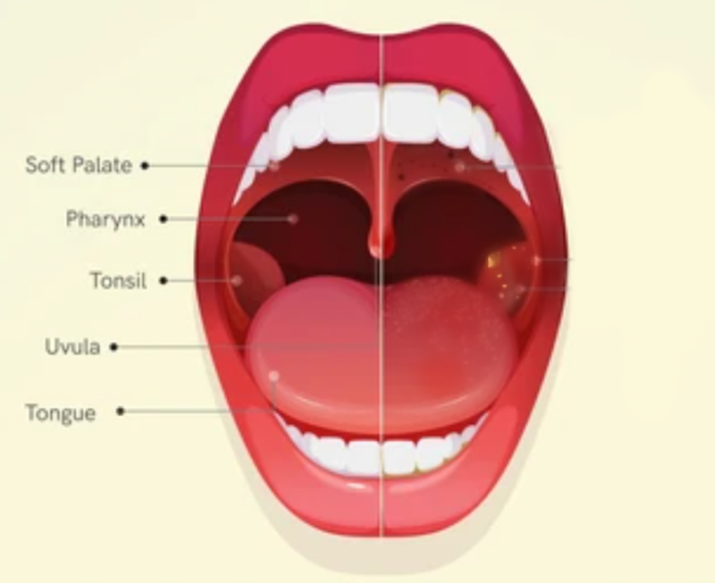 How And When To Sing With A Raised Soft Palate - Yona Marie | Yona ...