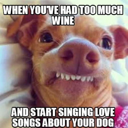 dogdontlikeyoursinging 1.jpg