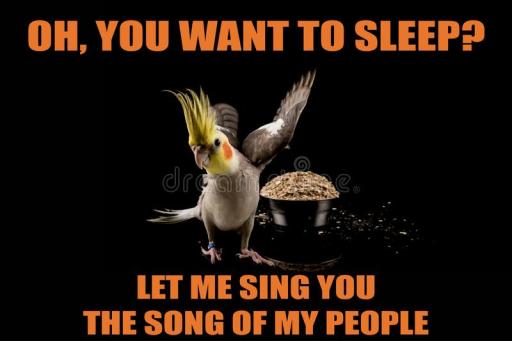 birdsinging.jpeg