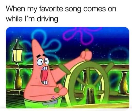 drivingsinging.jpeg