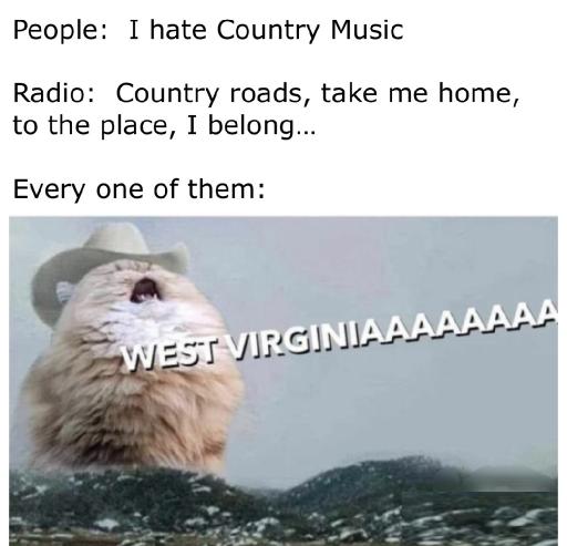 countrysinging.jpeg