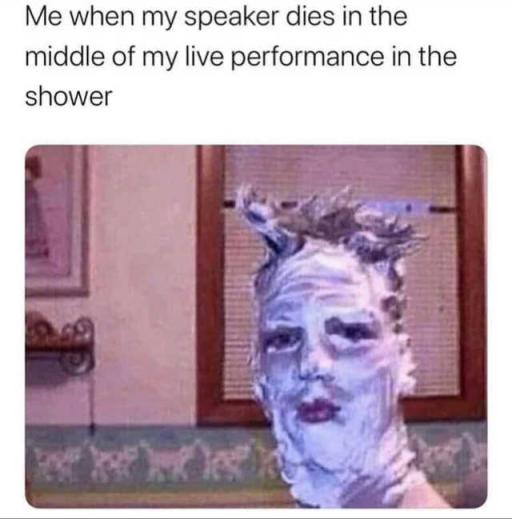 showersingingspeaker 1.jpg