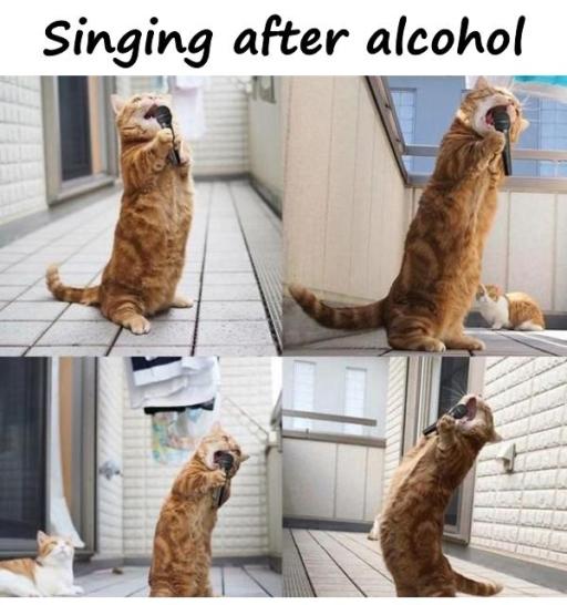 cutecatsinging.jpeg