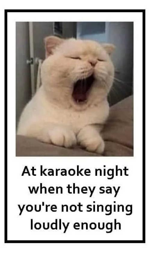 karaokecat 1.jpg