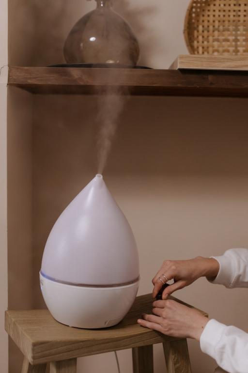 humidifier