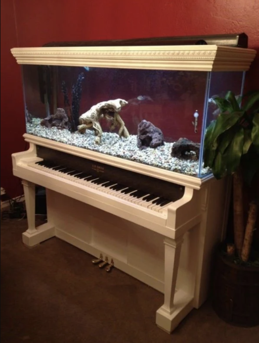 fishtank-piano
