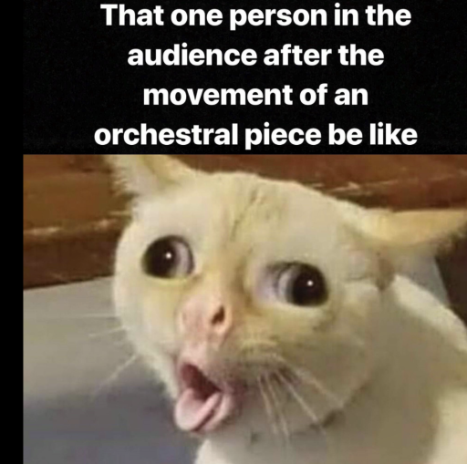 "audience-concert-meme