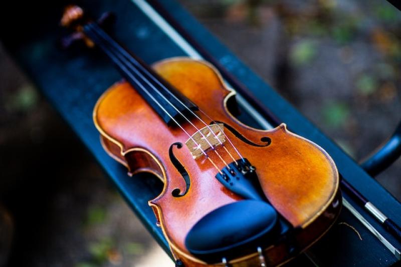 violin-strings.jpg